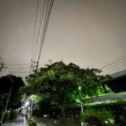 ヒメ日記 2025/10/25 23:16 投稿 れいか 吉祥寺角海老