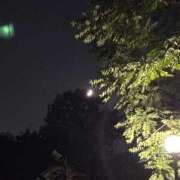 ヒメ日記 2025/10/28 23:46 投稿 れいか 吉祥寺角海老