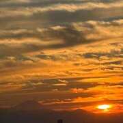 ヒメ日記 2025/10/29 23:16 投稿 れいか 吉祥寺角海老