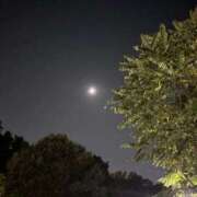 ヒメ日記 2025/10/31 00:06 投稿 れいか 吉祥寺角海老