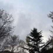 ヒメ日記 2025/11/03 08:26 投稿 れいか 吉祥寺角海老