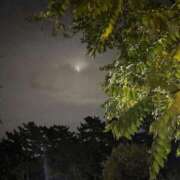 ヒメ日記 2025/11/04 22:56 投稿 れいか 吉祥寺角海老