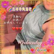 ヒメ日記 2025/11/05 09:06 投稿 れいか 吉祥寺角海老