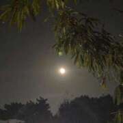 ヒメ日記 2025/11/07 23:56 投稿 れいか 吉祥寺角海老