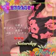 ヒメ日記 2025/11/08 09:06 投稿 れいか 吉祥寺角海老