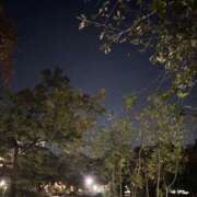 ヒメ日記 2025/11/11 00:26 投稿 れいか 吉祥寺角海老