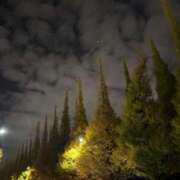 ヒメ日記 2025/11/15 00:16 投稿 れいか 吉祥寺角海老