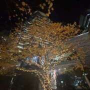 ヒメ日記 2025/11/18 00:04 投稿 れいか 吉祥寺角海老