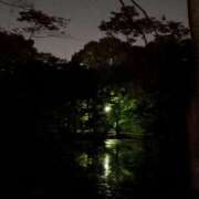 ヒメ日記 2025/11/20 23:46 投稿 れいか 吉祥寺角海老