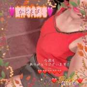 ヒメ日記 2025/11/22 09:16 投稿 れいか 吉祥寺角海老