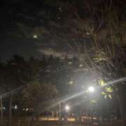 ヒメ日記 2025/11/22 23:46 投稿 れいか 吉祥寺角海老