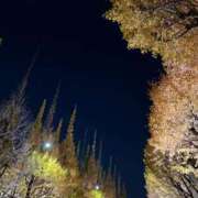 ヒメ日記 2025/11/24 23:46 投稿 れいか 吉祥寺角海老