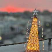 ヒメ日記 2025/11/25 06:46 投稿 れいか 吉祥寺角海老