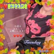 ヒメ日記 2025/11/25 09:05 投稿 れいか 吉祥寺角海老