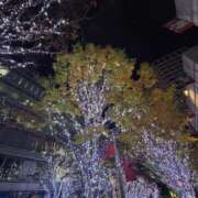 ヒメ日記 2025/11/26 00:06 投稿 れいか 吉祥寺角海老