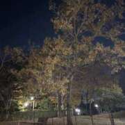 ヒメ日記 2025/11/27 00:26 投稿 れいか 吉祥寺角海老