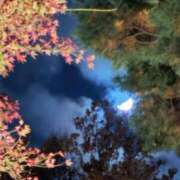 ヒメ日記 2025/11/27 23:46 投稿 れいか 吉祥寺角海老