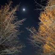 ヒメ日記 2025/12/01 00:16 投稿 れいか 吉祥寺角海老