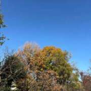 ヒメ日記 2025/12/01 12:12 投稿 れいか 吉祥寺角海老