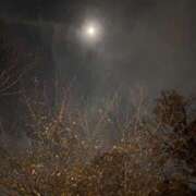 ヒメ日記 2025/12/01 23:46 投稿 れいか 吉祥寺角海老