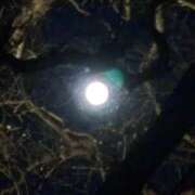 れいか おやすみなさい💤 吉祥寺角海老