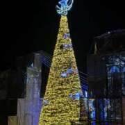 ヒメ日記 2025/12/08 00:06 投稿 れいか 吉祥寺角海老