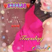 ヒメ日記 2025/12/09 08:56 投稿 れいか 吉祥寺角海老