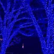 ヒメ日記 2025/12/10 23:26 投稿 れいか 吉祥寺角海老