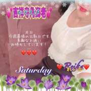 ヒメ日記 2025/12/13 09:26 投稿 れいか 吉祥寺角海老