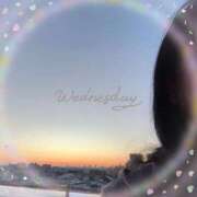 ヒメ日記 2025/12/17 07:56 投稿 れいか 吉祥寺角海老