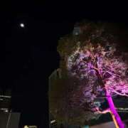 ヒメ日記 2025/12/29 23:46 投稿 れいか 吉祥寺角海老