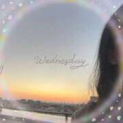 ヒメ日記 2025/12/31 07:56 投稿 れいか 吉祥寺角海老