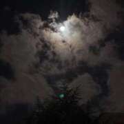 ヒメ日記 2026/01/07 23:56 投稿 れいか 吉祥寺角海老