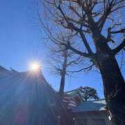 ヒメ日記 2026/01/12 14:46 投稿 れいか 吉祥寺角海老