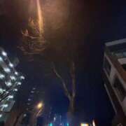 ヒメ日記 2026/01/12 23:36 投稿 れいか 吉祥寺角海老