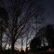 ヒメ日記 2026/01/13 23:06 投稿 れいか 吉祥寺角海老