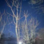 ヒメ日記 2026/01/18 00:16 投稿 れいか 吉祥寺角海老