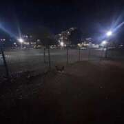 ヒメ日記 2026/01/27 23:16 投稿 れいか 吉祥寺角海老