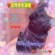 ヒメ日記 2026/01/28 09:16 投稿 れいか 吉祥寺角海老