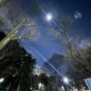 ヒメ日記 2026/01/29 23:46 投稿 れいか 吉祥寺角海老