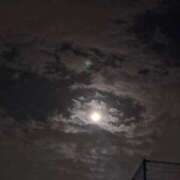 ヒメ日記 2026/02/02 23:16 投稿 れいか 吉祥寺角海老