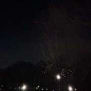 ヒメ日記 2026/02/06 23:16 投稿 れいか 吉祥寺角海老