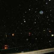 ヒメ日記 2026/02/07 23:06 投稿 れいか 吉祥寺角海老