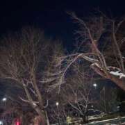 ヒメ日記 2026/02/08 23:56 投稿 れいか 吉祥寺角海老