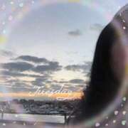 ヒメ日記 2026/02/10 07:56 投稿 れいか 吉祥寺角海老