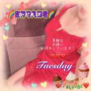 ヒメ日記 2026/02/10 09:16 投稿 れいか 吉祥寺角海老