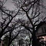 ヒメ日記 2026/02/17 23:06 投稿 れいか 吉祥寺角海老