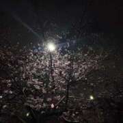 ヒメ日記 2026/02/22 00:06 投稿 れいか 吉祥寺角海老