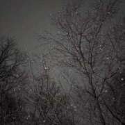 ヒメ日記 2026/02/26 23:36 投稿 れいか 吉祥寺角海老