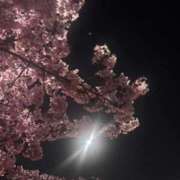 ヒメ日記 2026/03/04 23:36 投稿 れいか 吉祥寺角海老